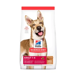 SD CANINE ADULT L&R