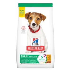 SD PUPPY H. DEVELOPMENT SMB