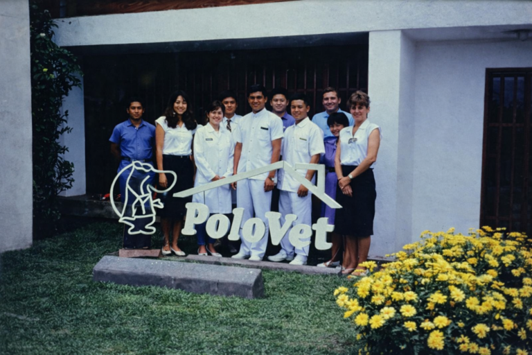 ChatGPT Image 8 ene 2026, 10_28_23